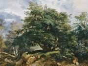 Jules Coignet The Old Oak in the Forest of Fontainebleau France oil painting artist